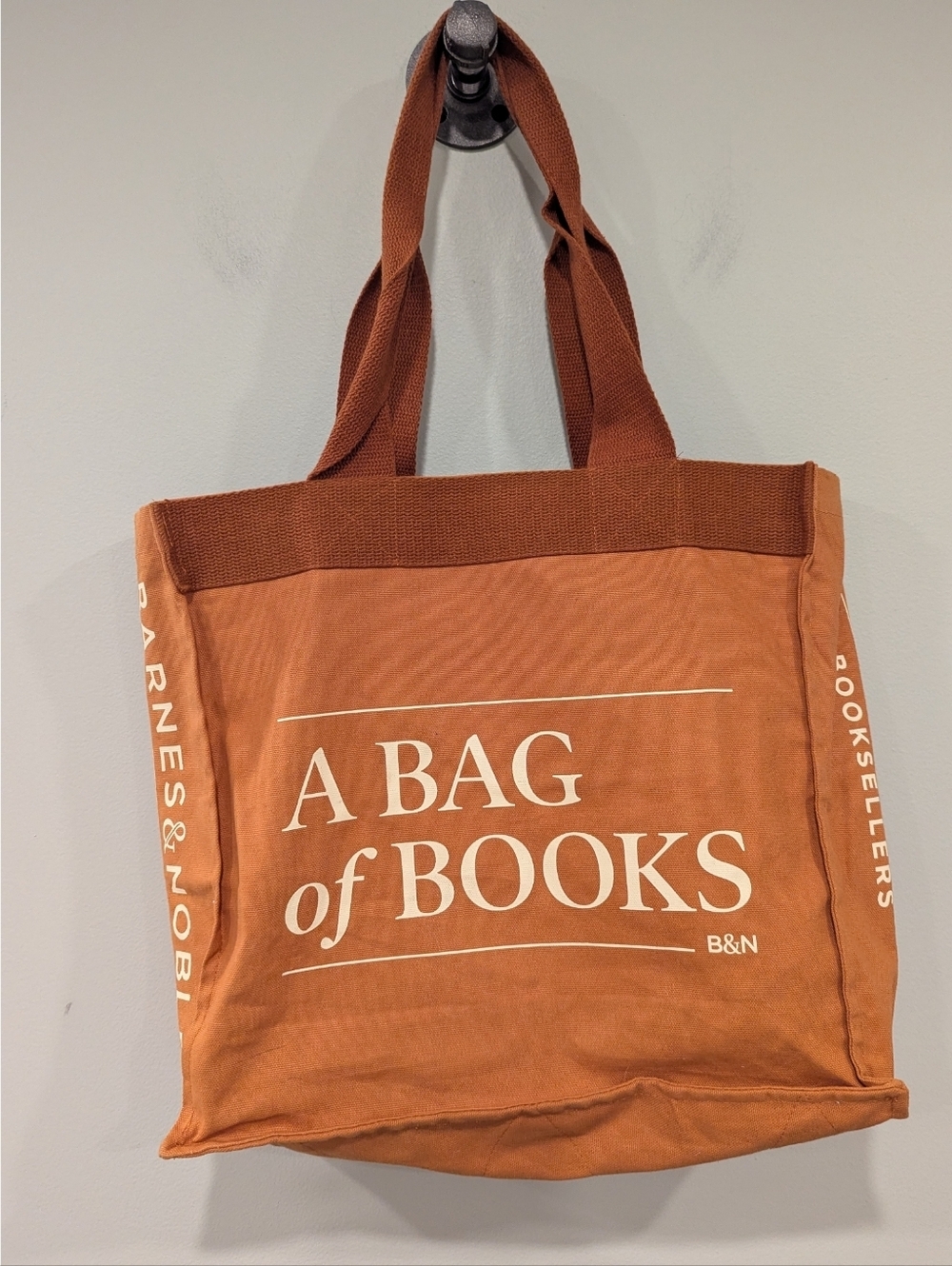Barnes & Noble A Bag Of Books Canvas Tote In Rust